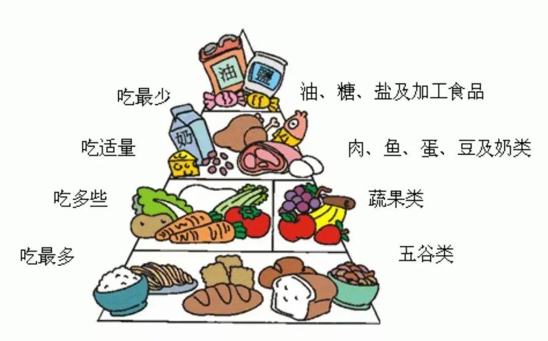 合理膳食，倡导健康生活方式倡议书